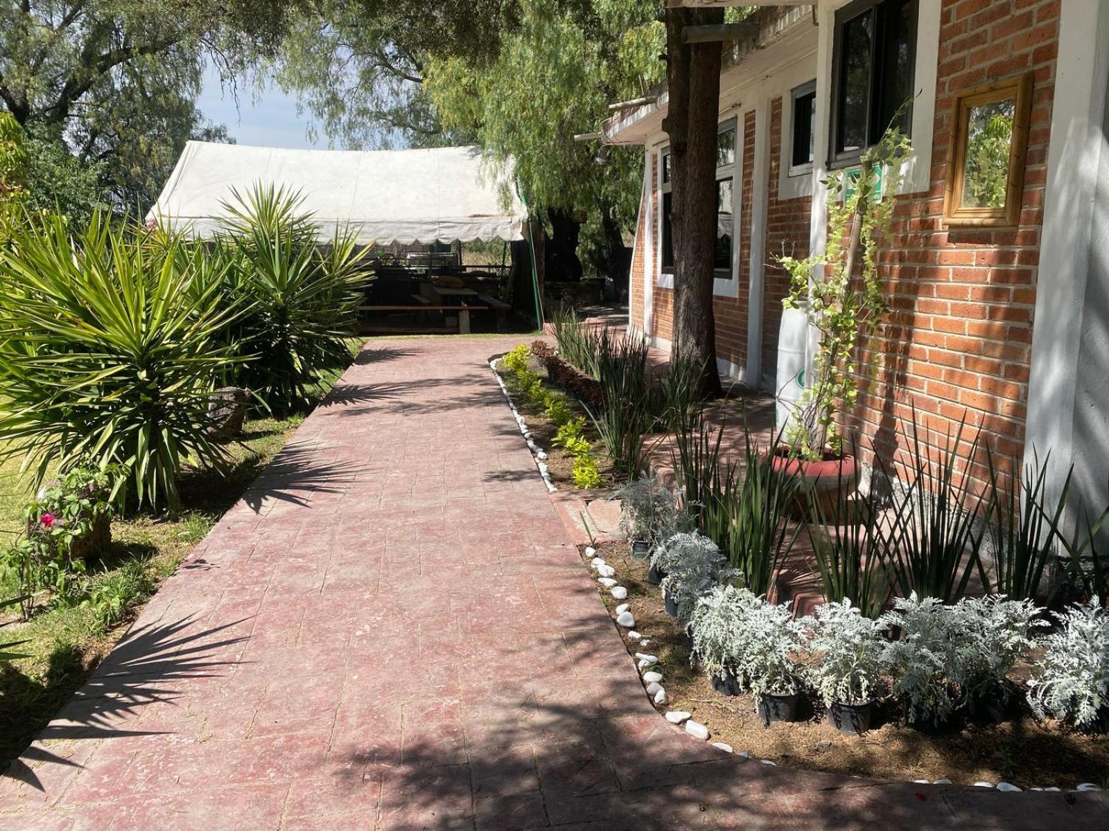 Telpochcalli Hotel & Temazcal ซาน ฮวน ตีโอตีฮัวคัน ภายนอก รูปภาพ